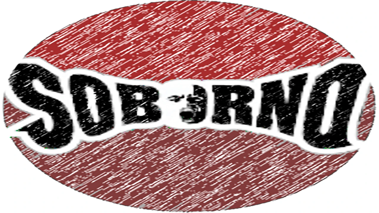 logo REDONDO HD
